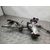 Columna Direccion para Kia Stonic (Ybcuv)