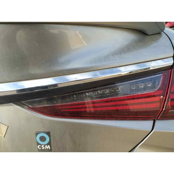 Piloto Trasero Derecho para Lexus Es