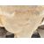 Diferencial Trasero para Subaru Legacy Familiar/Outback B13 (Bp)