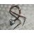 Sensor para Nissan Towstar