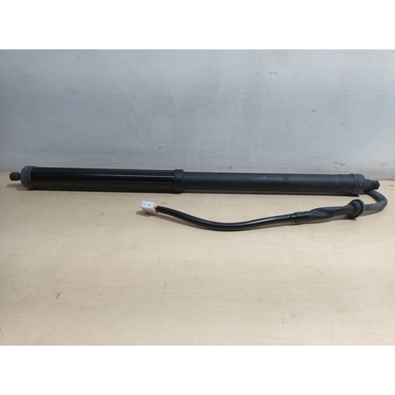 Amortiguadores Maletero / Porton para Toyota Rav4