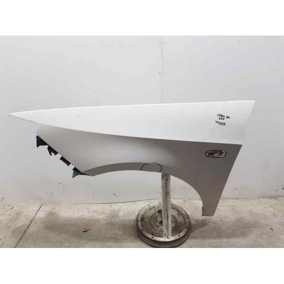 Aleta Delantera Izquierda para Seat Ibiza (6J5)