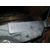 Motor Completo para Ford Ecosport