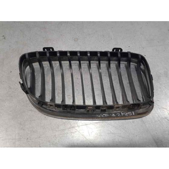 Rejilla Delantera para Bmw Serie 3 Berlina (E90)