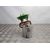Aforador para Seat Leon St (5F8)