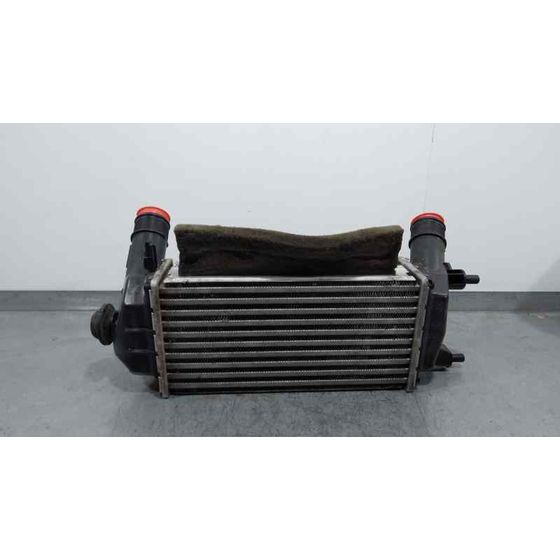 Intercooler para Ford Fiesta (Ce1)