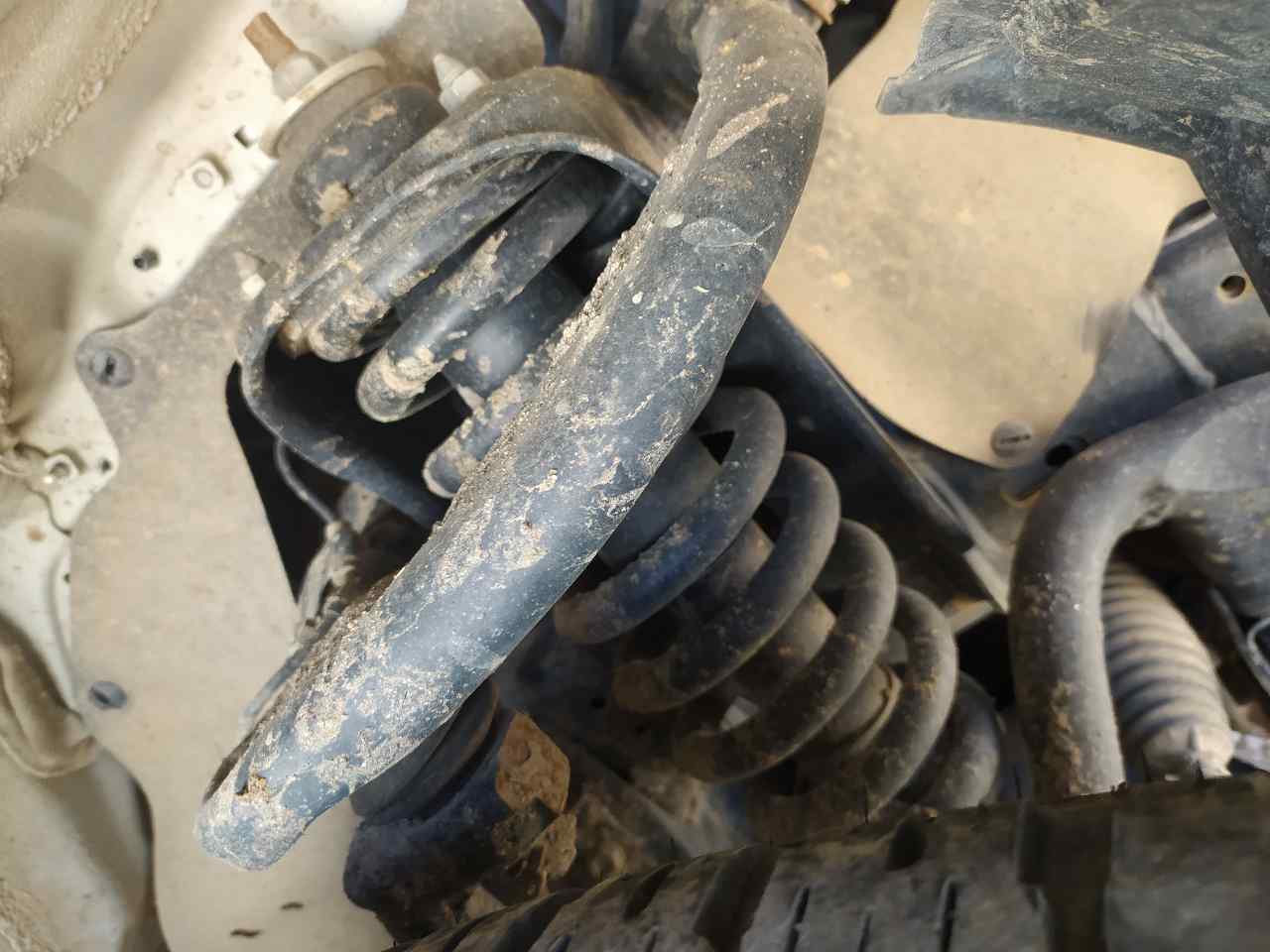 Amortiguador Delantero Derecho para Toyota Hilux (Gun1)