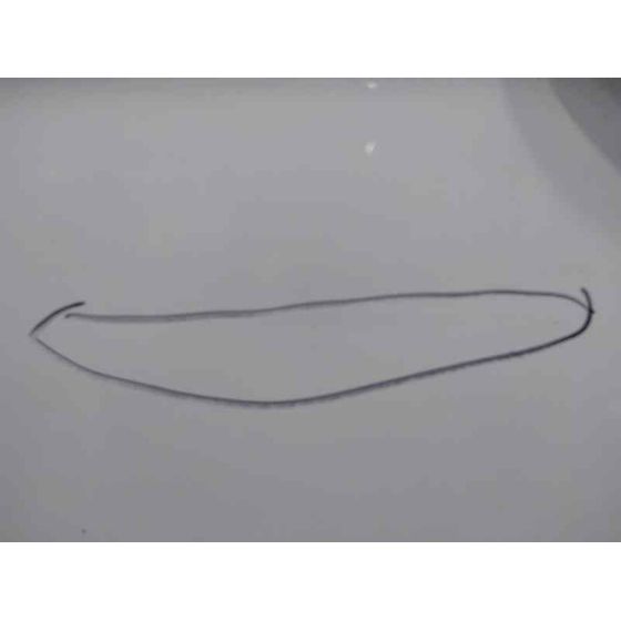 Puerta Trasera Izquierda para Ford Ecosport (Cr6)