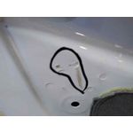 Puerta Trasera Izquierda para Ford Ecosport (Cr6)