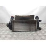 Intercooler para Ford Ecosport (Cr6)