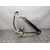 Elevalunas Trasero Izquierdo para Audi A3 Sportback (8Vf)