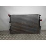 Radiador Agua para Seat Alhambra (710)