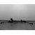 Cremallera Direccion para Volkswagen Golf Iv Berlina (1J1)